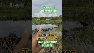 kawasan transmigrasi TEMPIRAI KAB PALI