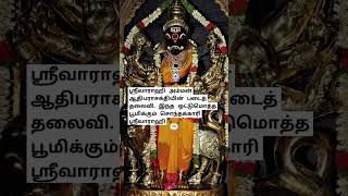 வாராஹி தாயின் மகா சக்தி #வார்த்தாளி #srivarahiammanhistoryintamil  #varahiamman108potriintamil