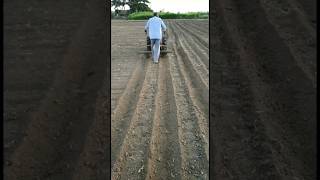 Vst Power Tiller Attachment Use in Row Making #shorts #vstpowertiller #trending #viralvideo