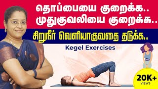 தொப்பை - முதுகுவலி குறைக்க |Exercises for stress Incontinence | Back Pain | Kegel Exercise |Dr Veni