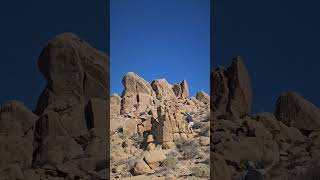 #shorts | When Your Perfect Shot Gets RUINED 🤬 #lifelivednow #joshuatree #california #rocks #video