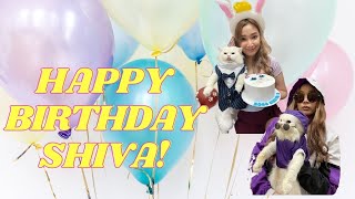 SHIVA'S 3RD BIRTHDAY CELEBRATION!!!