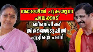 പാലക്കാട് ബിജെപിക്ക് തീരാതലവേദന | തിരിഞ്ഞു കുത്തുമോ നേതാക്കൾ Election Palakkad | BJP