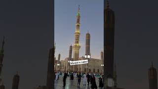 Madina | Masjid e Nabvi | Magrib Aazan | #shortvideo #shortsfeed  #madina