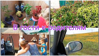 Выходные.Поездка к моим родителям. Мамины цветы.