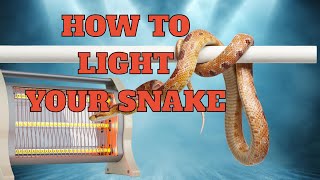 Everything You Need To Know About Heat And Light For Your Snakes Part 1: Light