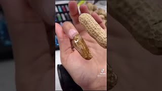 Peanut Shell Nail Extension 🥜 💅🏽 #nails #nailtutorial #acrylicnails