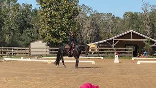 WDAA Western Dressage Intro Test 1 Amateur JamieLynne Weiss and First Impression Score: 71.364%