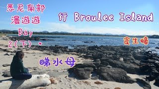 悉尼南部漫遊遊 Day 2(下) | 行Broulee Island | 行 Botanic Garden | 睇水母