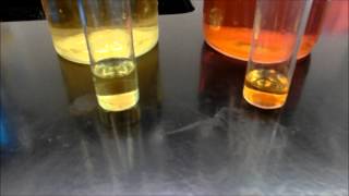 Evidence of Reactions Lab