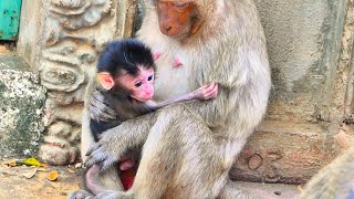 Poorest Lady, She Just Has First Baby, This Poor Baby Gets Scared Of Powerful Monkeys