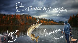 Охота. В поисках осенней щуки. Выходные в таежной избе. По тайге в поисках зверя.