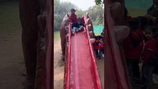 Children's day fun at Chattbir Zoo #ytshorts