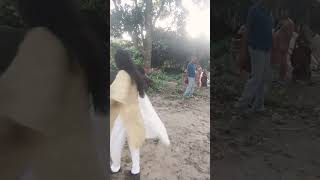 *Dance. #bangladesh #dance #india #newvideo #shorts #trending #viral*