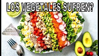 LOS VEGETALES SUFREN