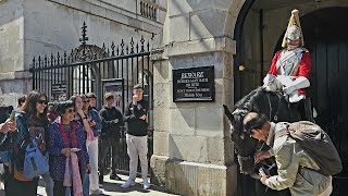 King's Guard Horse Hilariously Snatches Tourist's Hat and Leaves Guard in Stitches!"