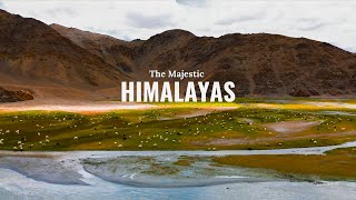 HIMALAYAS IN 4K | DRON SHOT|