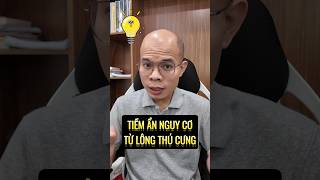 Tiềm ẩn nguy cơ từ lông thú cưng? #lehailinh #shorts #kinhdoanh #nguonhangtrungquoc