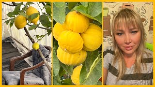 Четыре месяца работы…и…Новый этап 🍋💫🍋