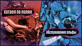 Покатушки по полям. Обслуживание мопеда альфа