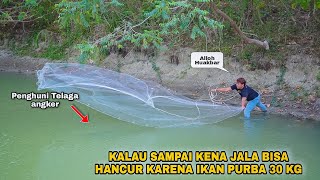 Mengerikan Ikan Purba Penghuni Telaga Tengah Hutan,Sampai Panen Ikan Gabus babon Di Pinggir Jalan