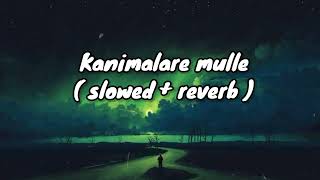 Kanimalare Mulle [ slowed + reverb] | Two Countries | Dileep | Mamta Mohandas | Earth Hut