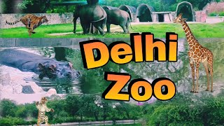 delhi zoo //दिल्ली का चिड़ियाघर// national Zoological park // best place in Delhi // travel Buddy-rs