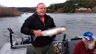 nice winter steelhead from the lower Rogue river