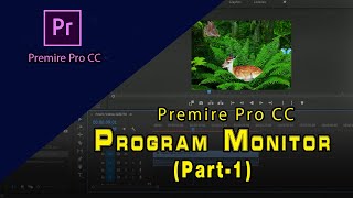 Program Monitor in Premiere Pro | Easy way to learn | प्राेग्राम माेनिटरकाे प्रयाेग गर्ने सरल तरिका