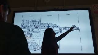 Patología Pulmonar - Clase 1 - Segundo Aporte