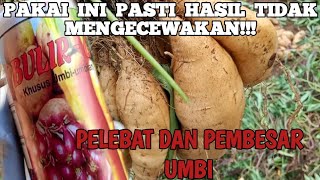 PUPUK BOOSTER PENAMBAH BOBOT UBI CILEMBU#ubicilembu#ubijalar#paclobutrazol