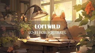 Lo-fi for Squirrel 🐿| Relax With Squirrel ~ [ Lofi Chill ~ Lofi Relaxing ] || Lofi Wild