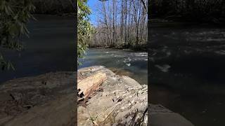 Fishing Section 2 of the Allegheny Trail along Glady with Dad