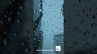 The Calming Power of Rain  - Natural Sound Effects for Relaxation and Sleep