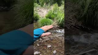 Learning where to place a one-rock dam by observing dam being built by beaver.