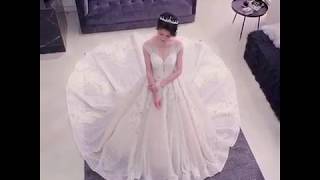 Luxury / Gorgeous Champagne Wedding Dresses