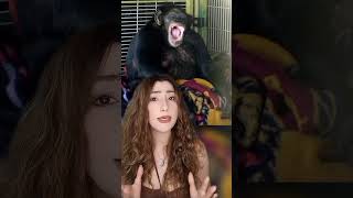 Bu Kadının 14 Yıllık Evcil Maynunun Yaptığı Şey Tüm Dünyayı Şok Etti 😱😱 #shorts #tiktok #fyp