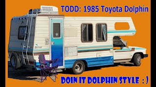 Van-life/Dolphin: The Dolphin will LIVE (a bit longer)