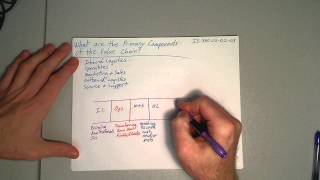 02 02 03 What are the Primary Components of the Value Chain