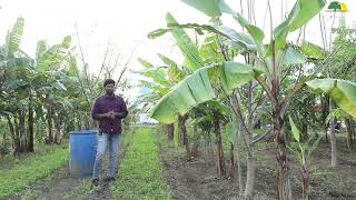 Real life Farmer Natural Stories Five Layer Farming  Subash Palekar Method