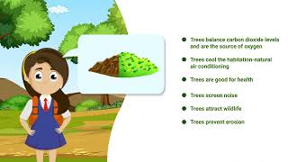 Club Enerji I Educational Video I Tree Conservation