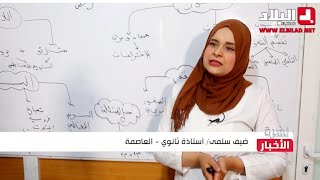 طريقة المخططات في الفلسفة  ( من قناة البلاد )