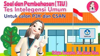 Contoh Soal dan Pembahasan Tes Intelegensi Umum ( TIU ) untuk calon PPPK & CSAN