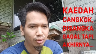 Hasil cangkok yang pertama kali dibuat