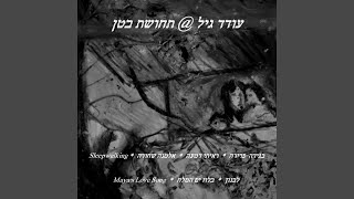 בגידה-פרידה