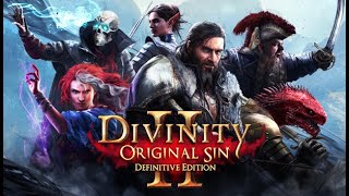 [stream] Divinity: Original Sin II (STEAM) - Кооперативные приключашки.