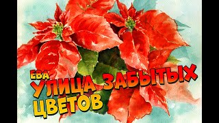 Улица Забытых цветов - Ева