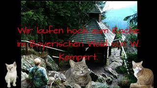 Wir laufen hoch zum Rache im Bayerischen Wald von W.Kempert