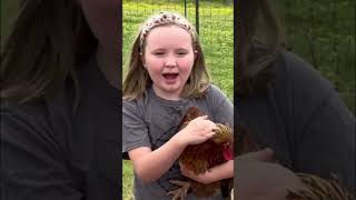 Farm kid catching chickens!🐓 @GrownsFamilyFarm