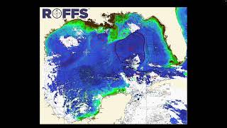 Gulf of Mexico Ocean Conditions Update - 6/21/2022